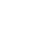 radius-box1